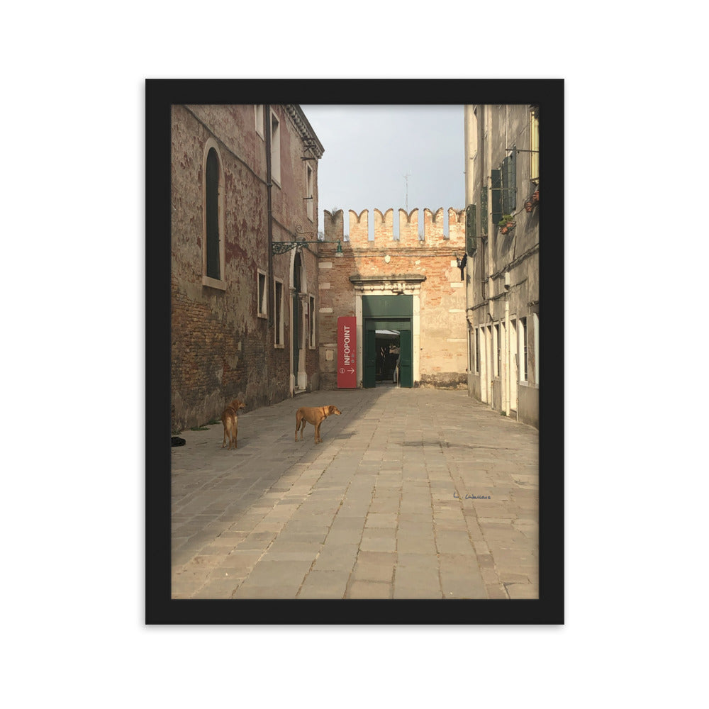 Venice Old Dogs 9 framed matte photo