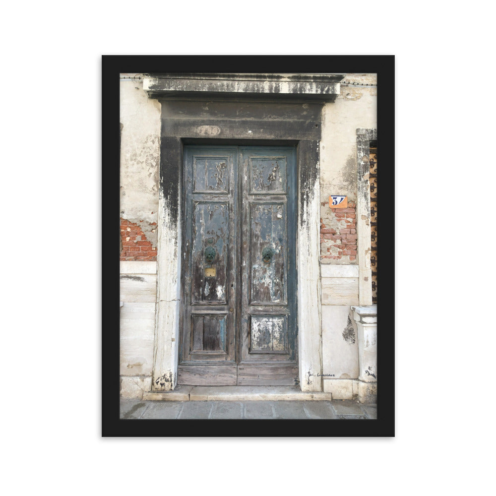 Venice Doors 3 framed matte photo