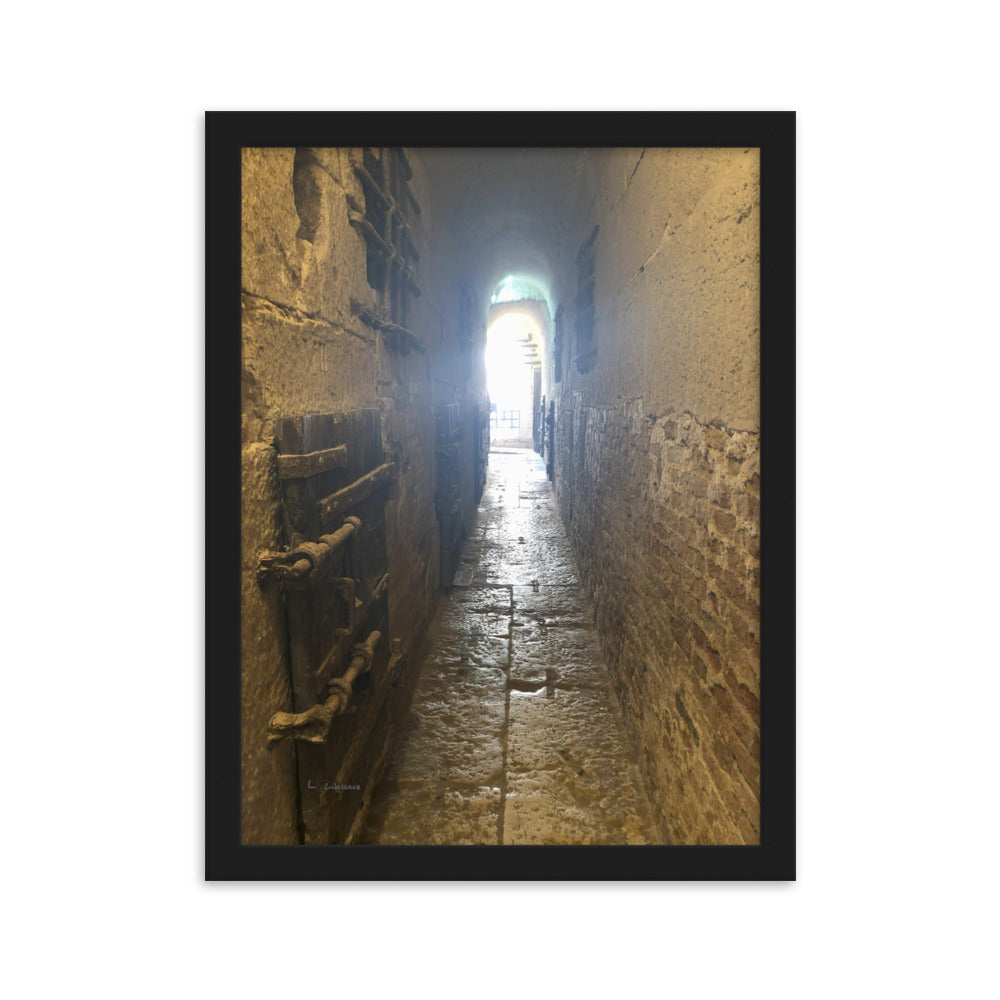 Venice Doors 5 framed matte photo