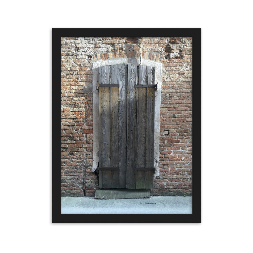 Venice Doors 6 framed matte photo