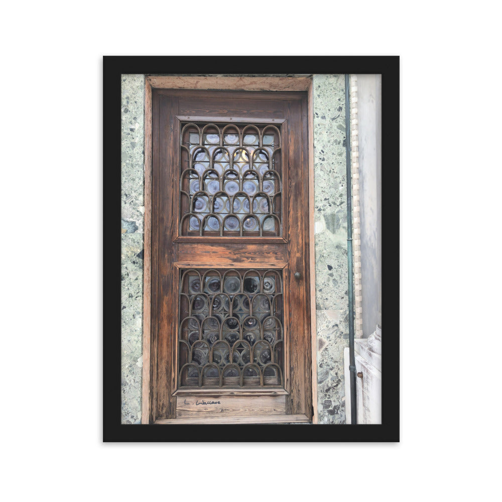 Venice Doors 7 framed matte photo