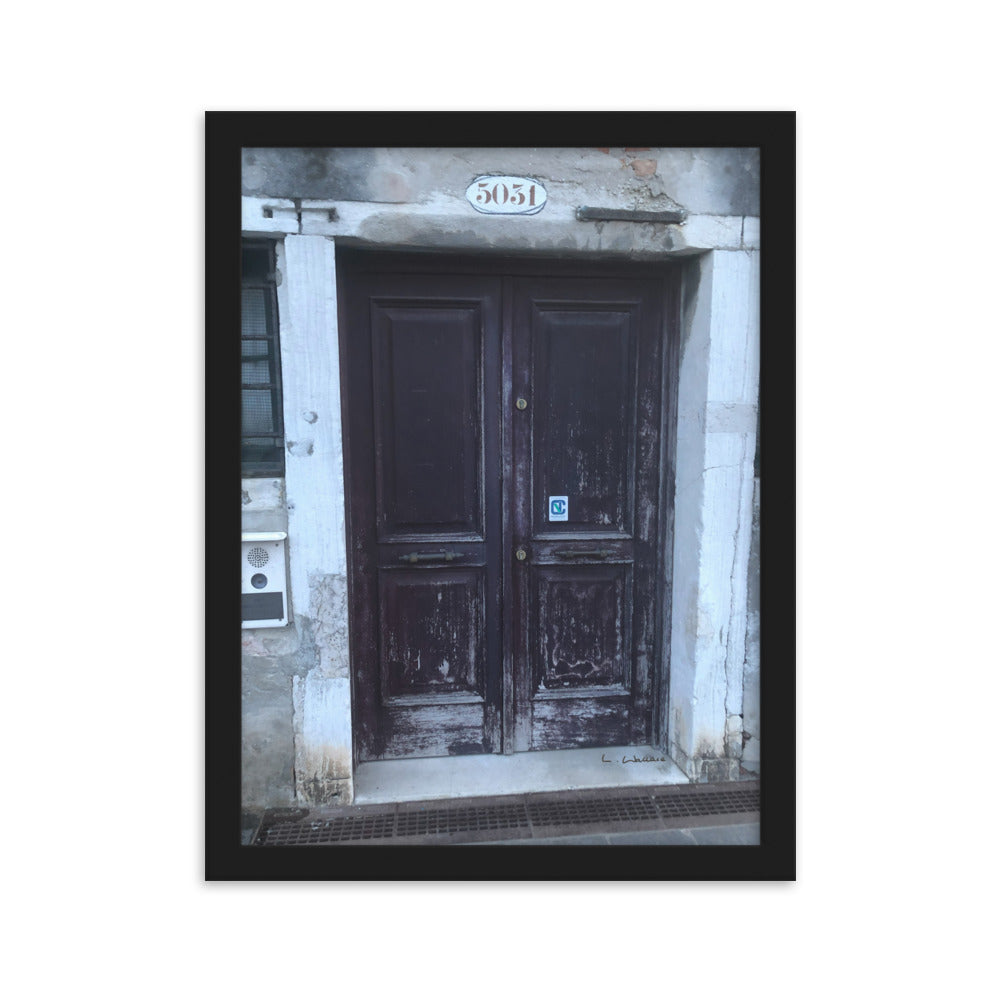 Venice Doors 8 framed matte photo