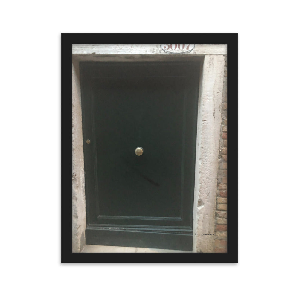 Venice Doors 9 framed matte photo
