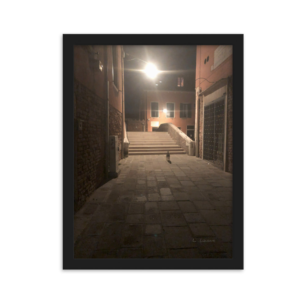 Venice Dusk 21 framed matte photo