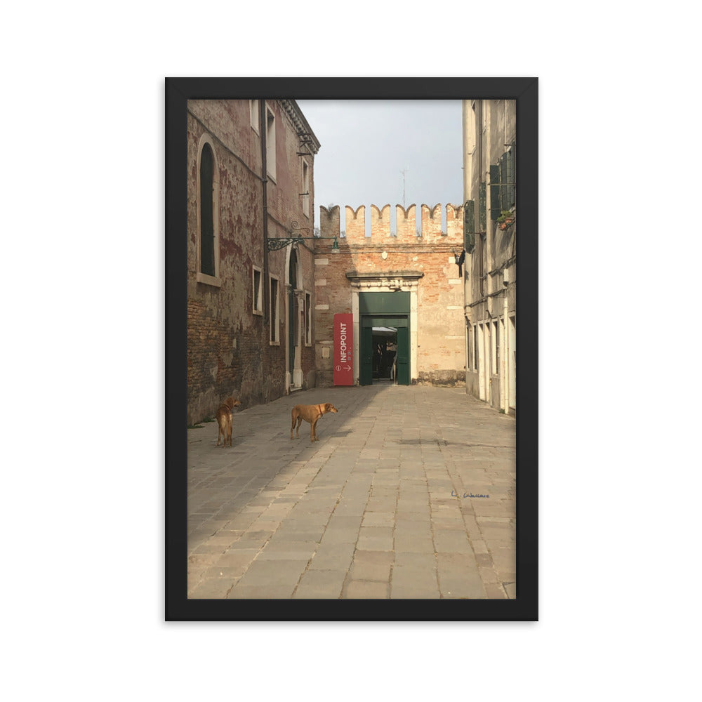 Venice Old Dogs 9 framed matte photo