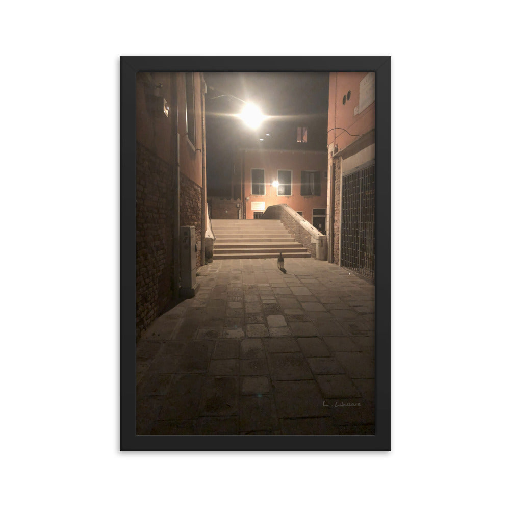 Venice Dusk 21 framed matte photo
