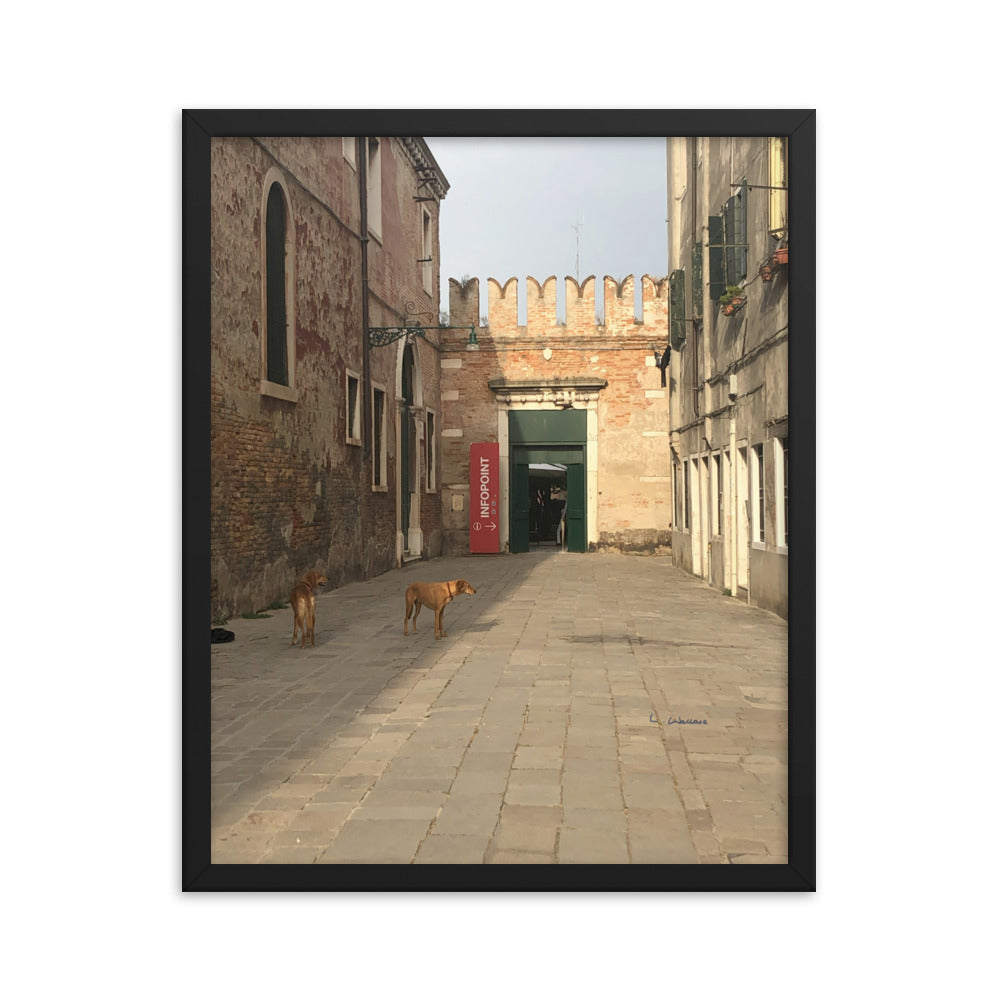 Venice Old Dogs 9 framed matte photo