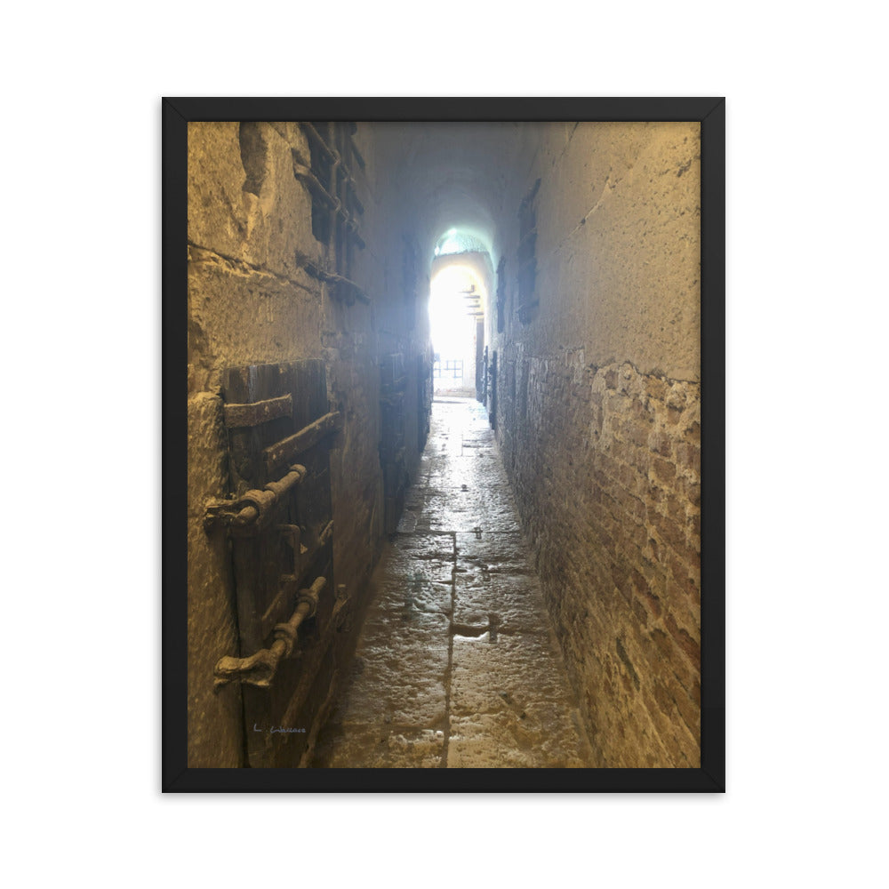 Venice Doors 5 framed matte photo
