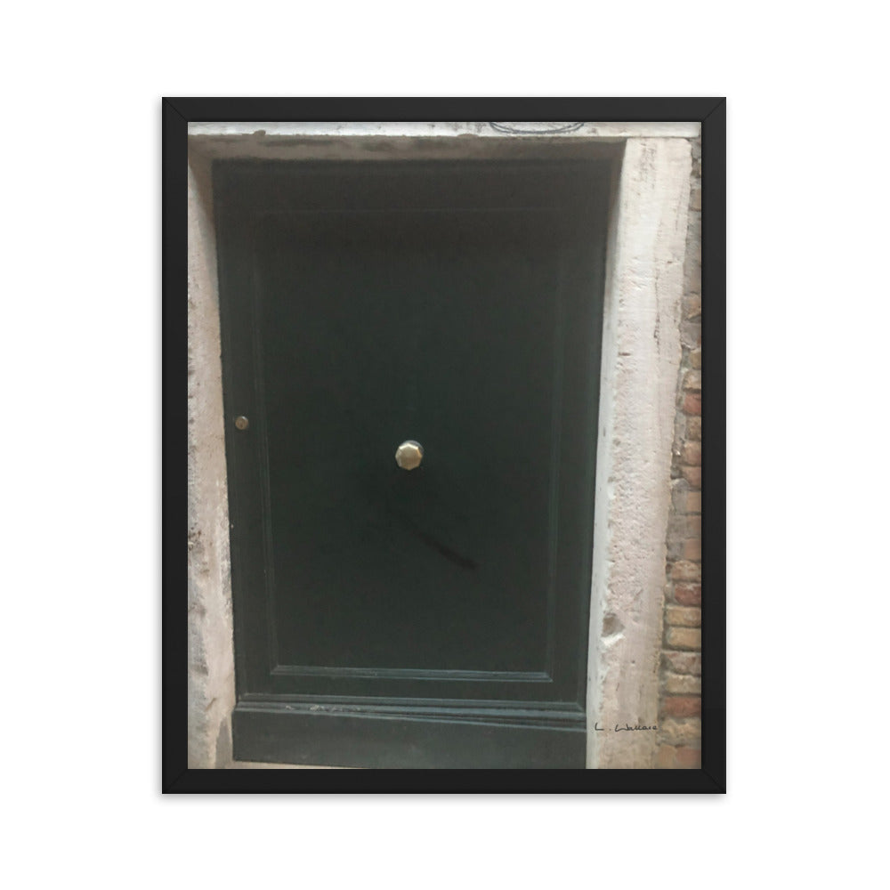 Venice Doors 9 framed matte photo