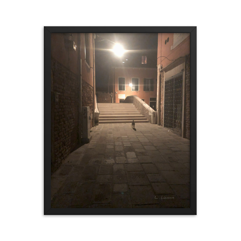 Venice Dusk 21 framed matte photo