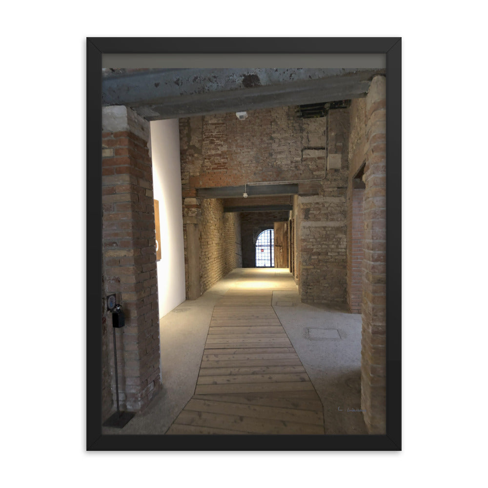 Venice Doors 1 framed matte photo