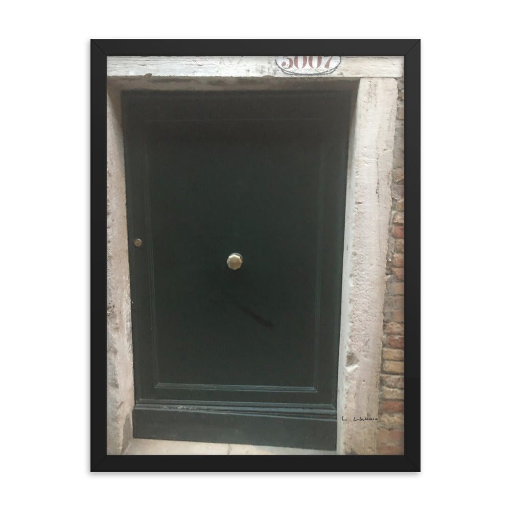 Venice Doors 9 framed matte photo