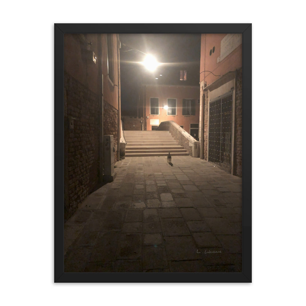 Venice Dusk 21 framed matte photo
