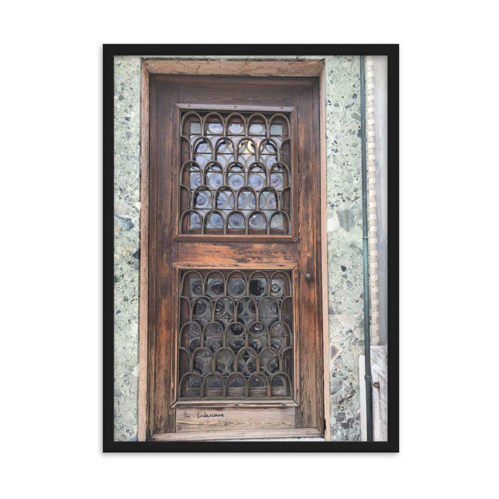 Venice Doors 7 framed matte photo