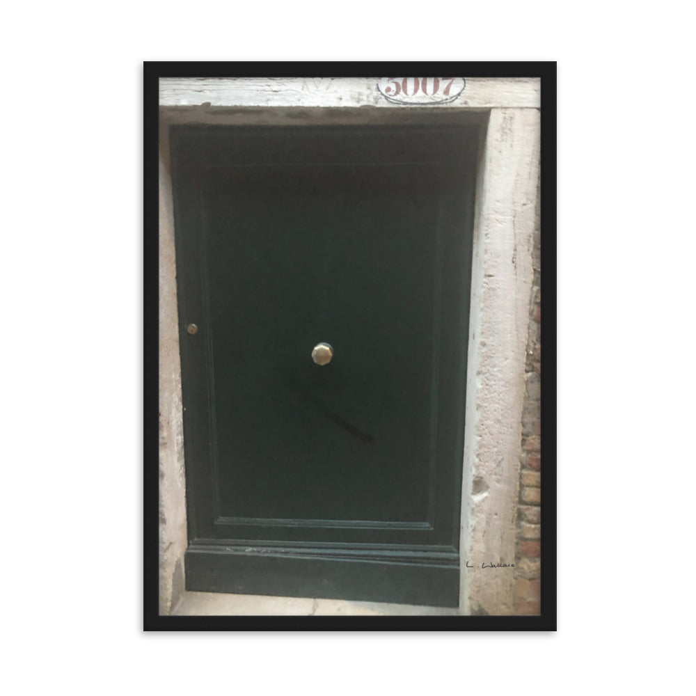 Venice Doors 9 framed matte photo