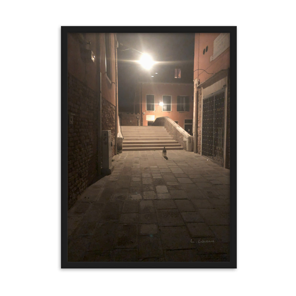 Venice Dusk 21 framed matte photo