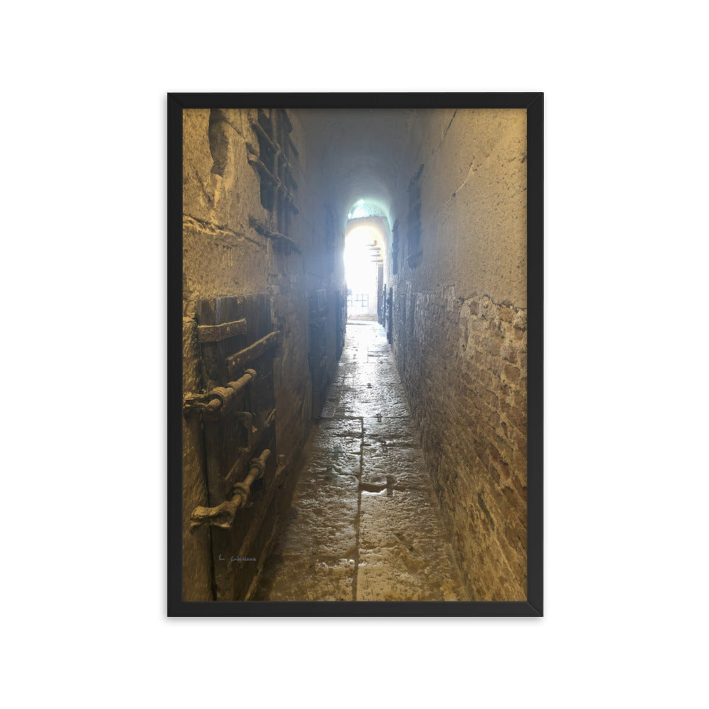 Venice Doors 5 framed matte photo
