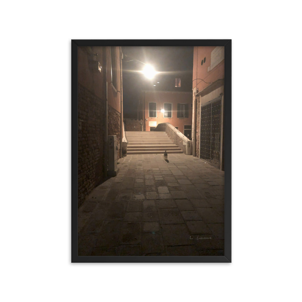 Venice Dusk 21 framed matte photo