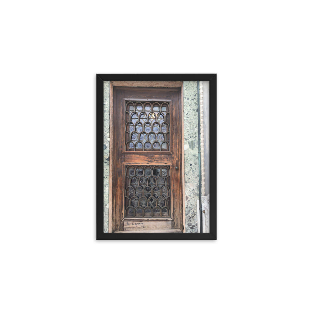 Venice Doors 7 framed matte photo