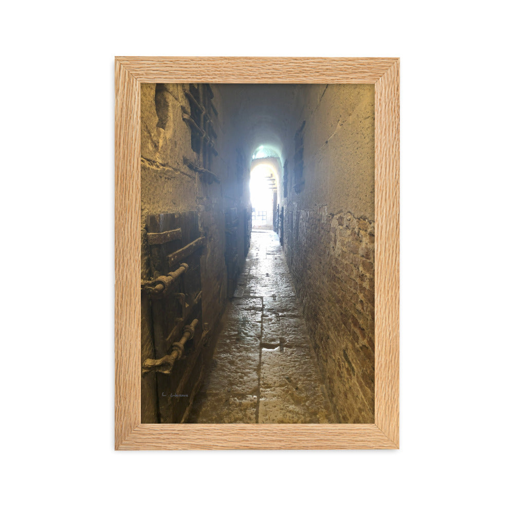 Venice Doors 5 framed matte photo