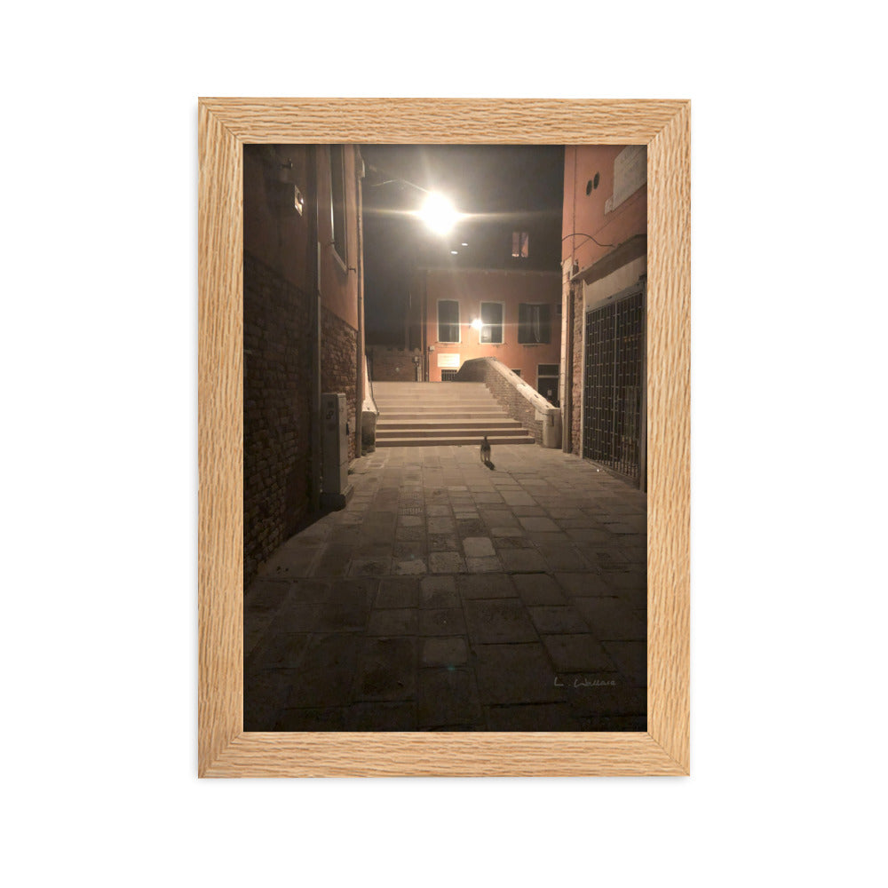 Venice Dusk 21 framed matte photo