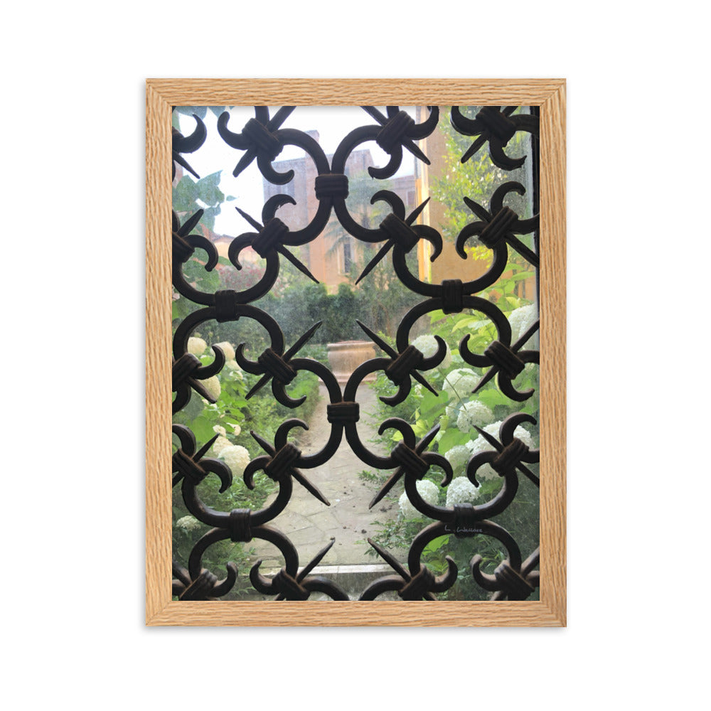 Venice Doors 2 framed matte photo