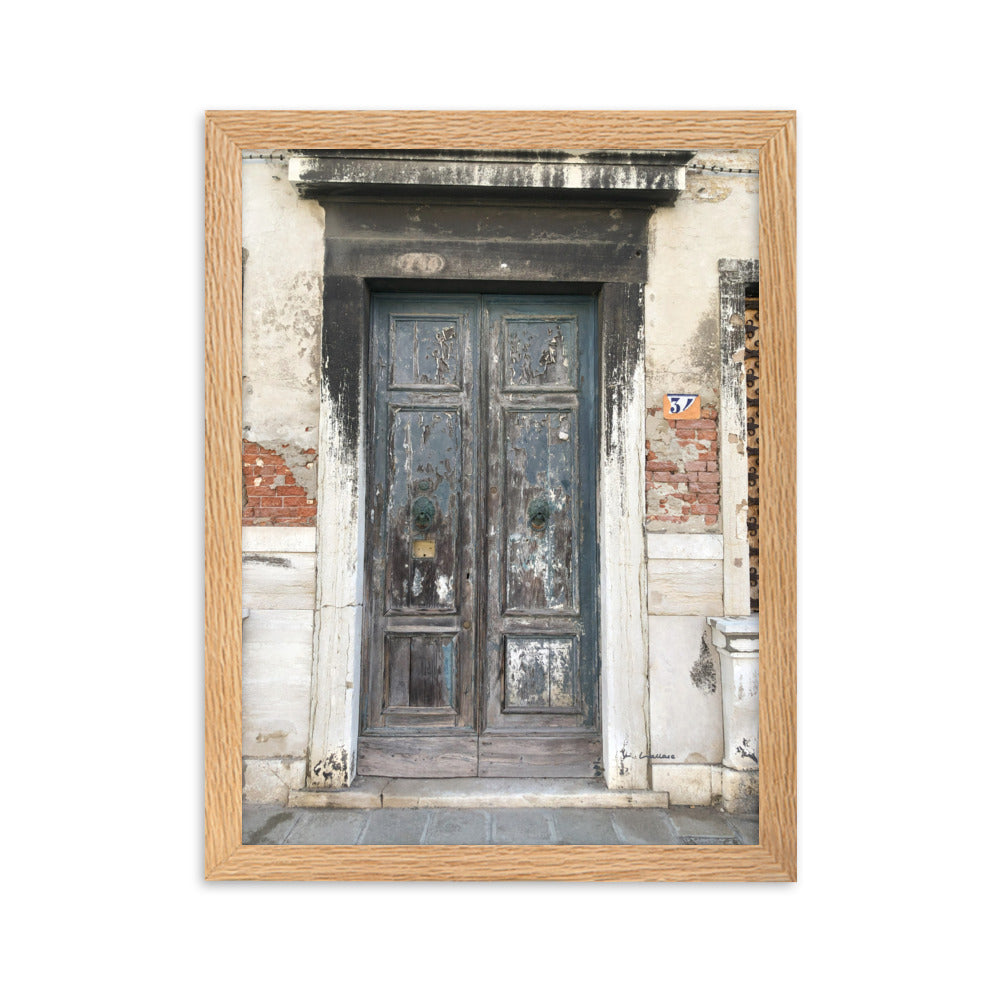 Venice Doors 3 framed matte photo