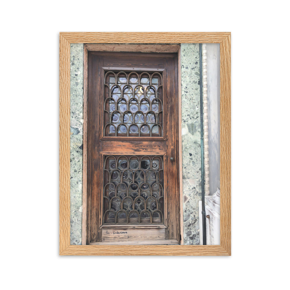 Venice Doors 7 framed matte photo