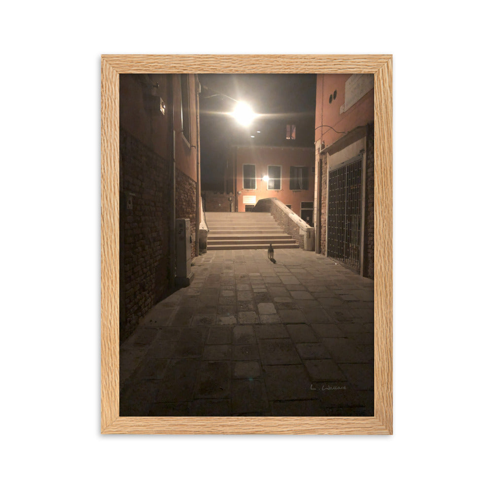 Venice Dusk 21 framed matte photo