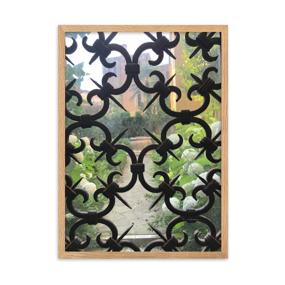 Venice Doors 2 framed matte photo