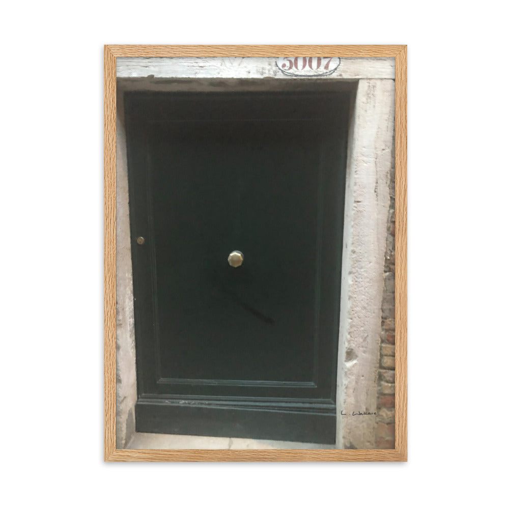 Venice Doors 9 framed matte photo