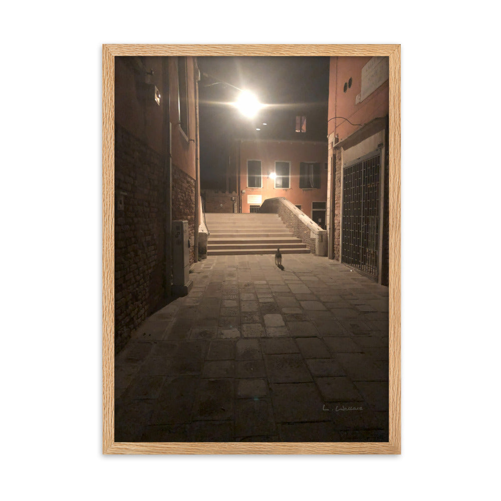 Venice Dusk 21 framed matte photo