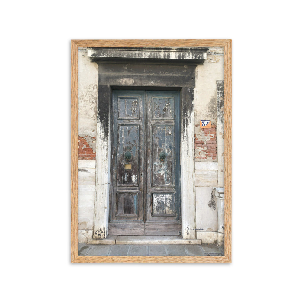 Venice Doors 3 framed matte photo