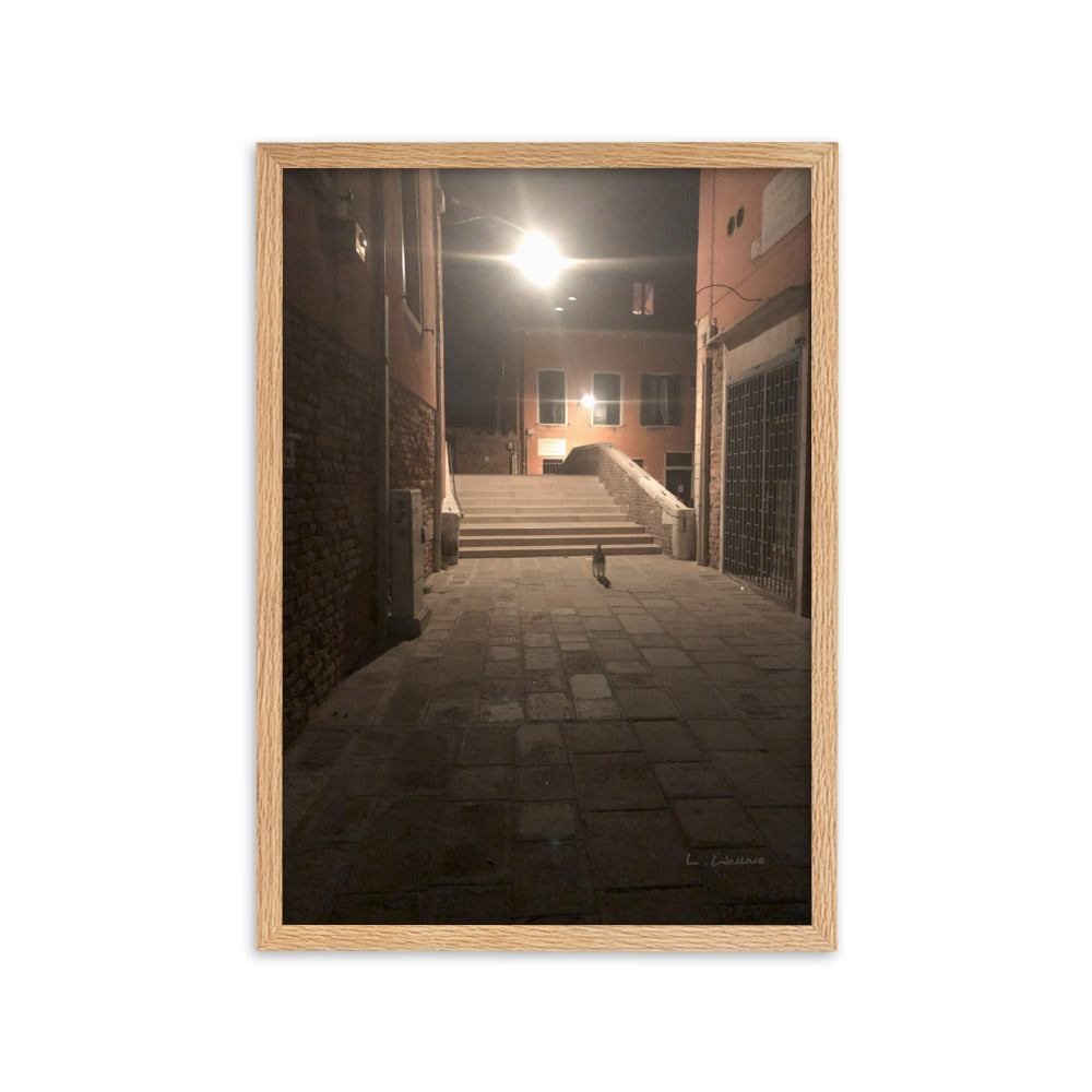 Venice Dusk 21 framed matte photo