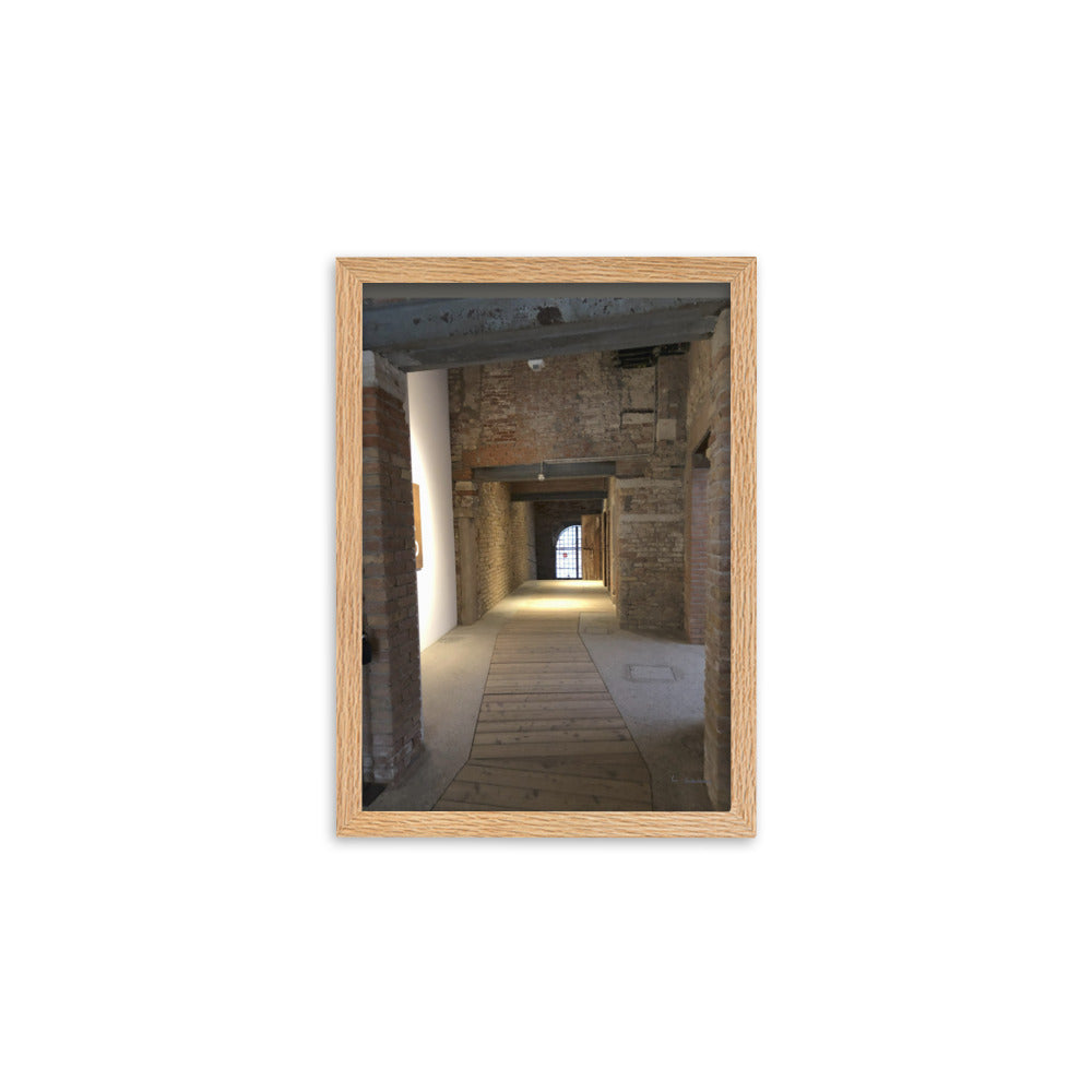 Venice Doors 1 framed matte photo