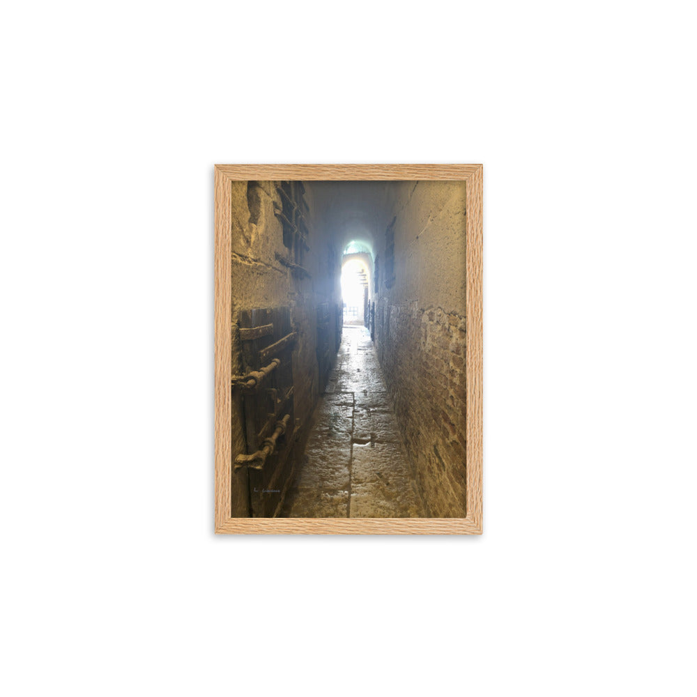 Venice Doors 5 framed matte photo