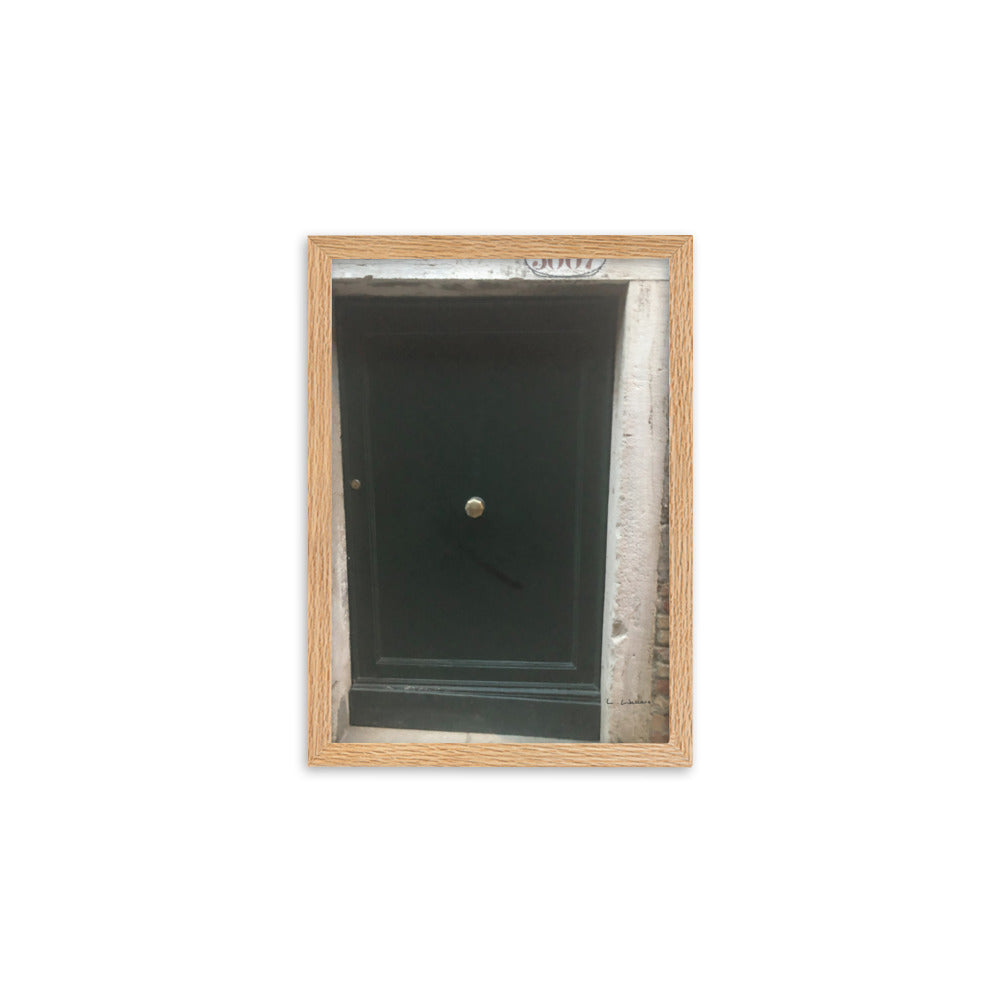 Venice Doors 9 framed matte photo