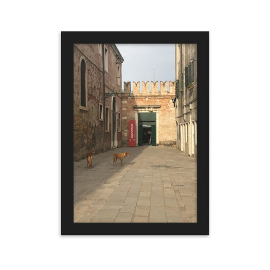 Venice Old Dogs 9 framed matte photo