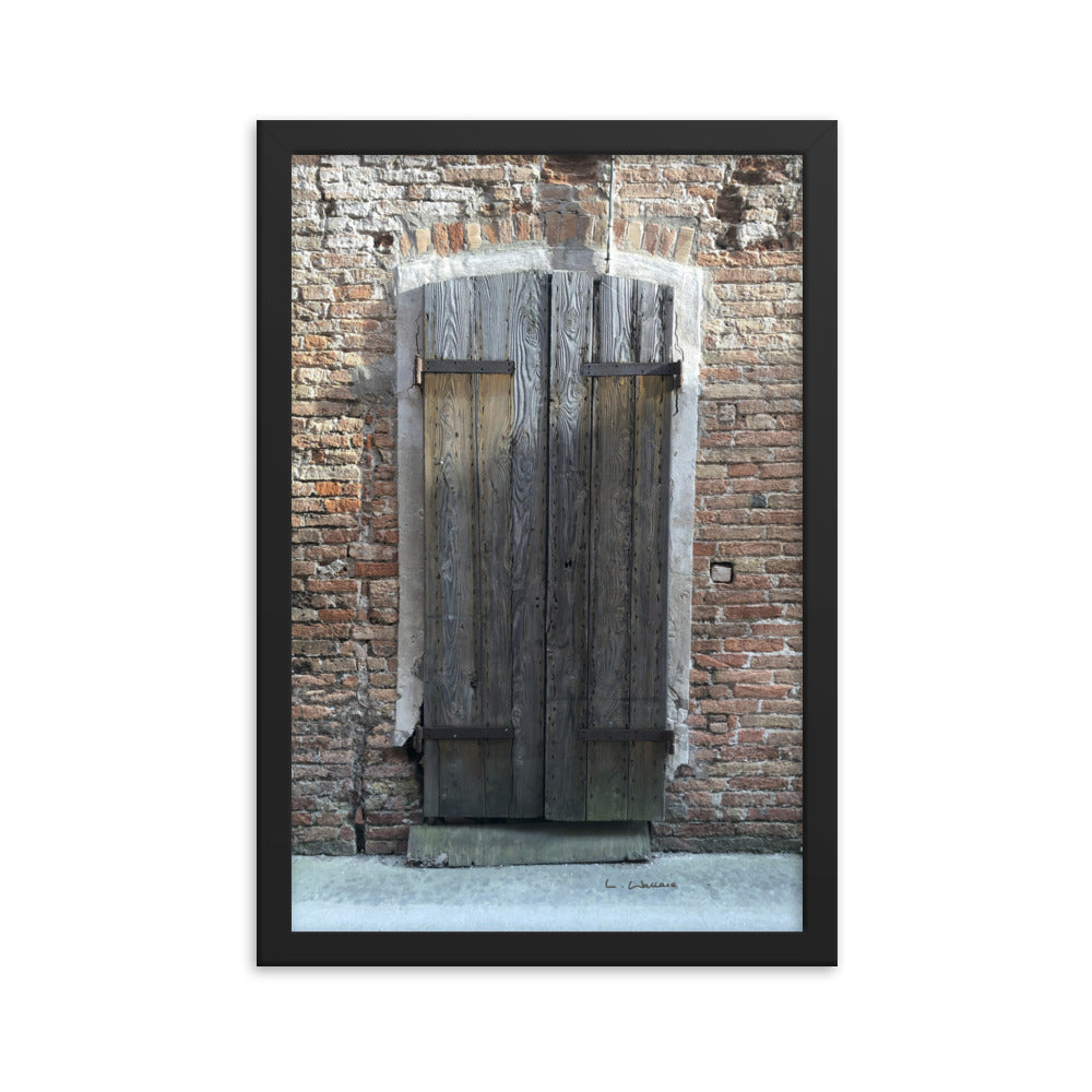 Venice Doors 6 framed matte photo