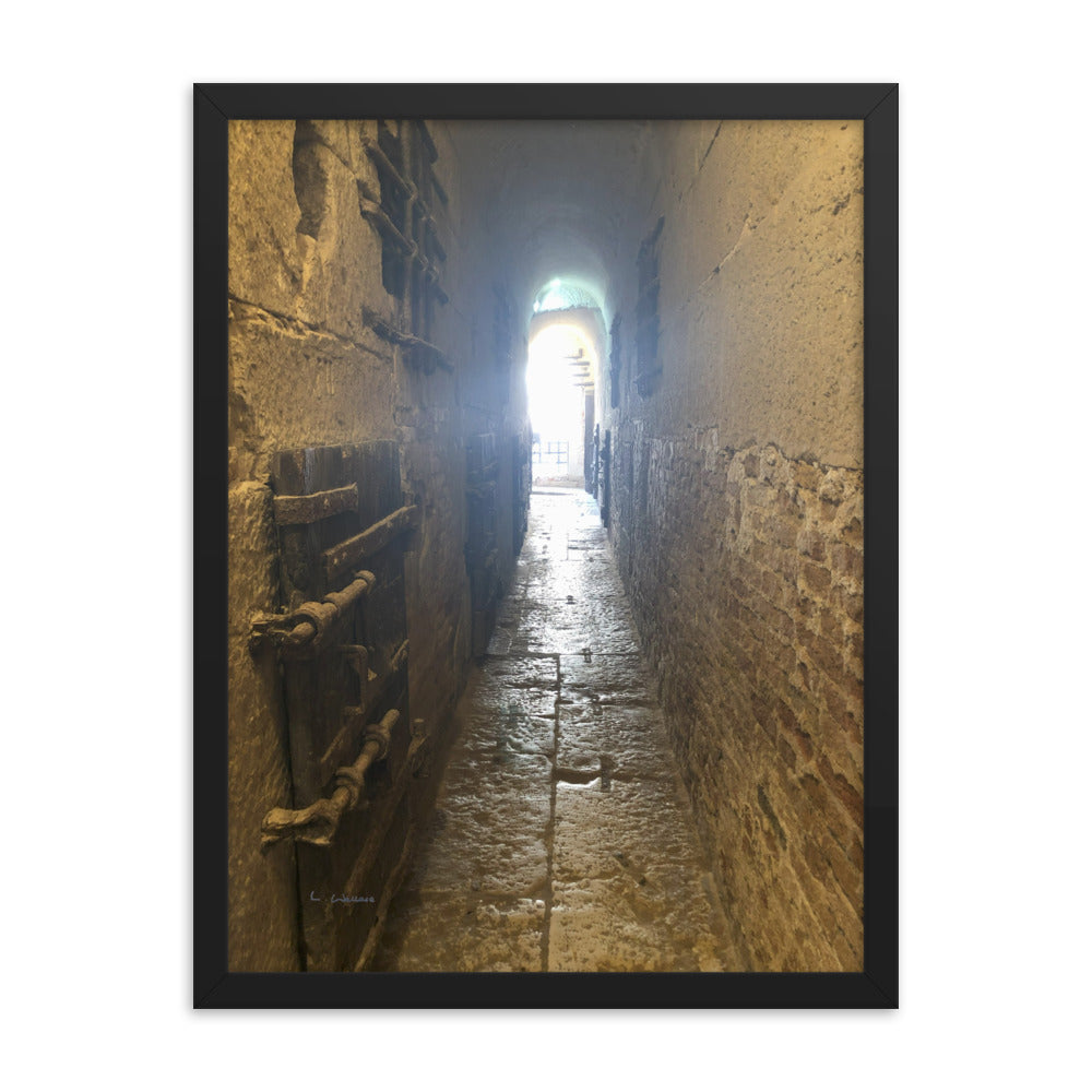 Venice Doors 5 framed matte photo