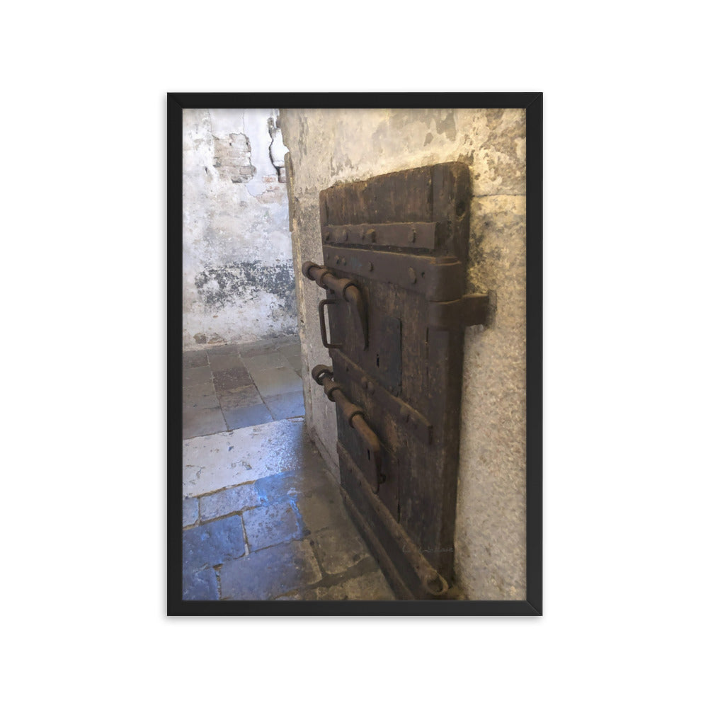 Venice Doors 4 framed matte photo