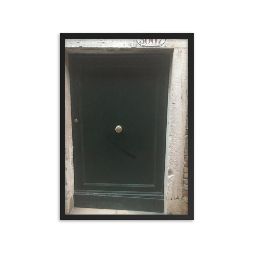 Venice Doors 9 framed matte photo