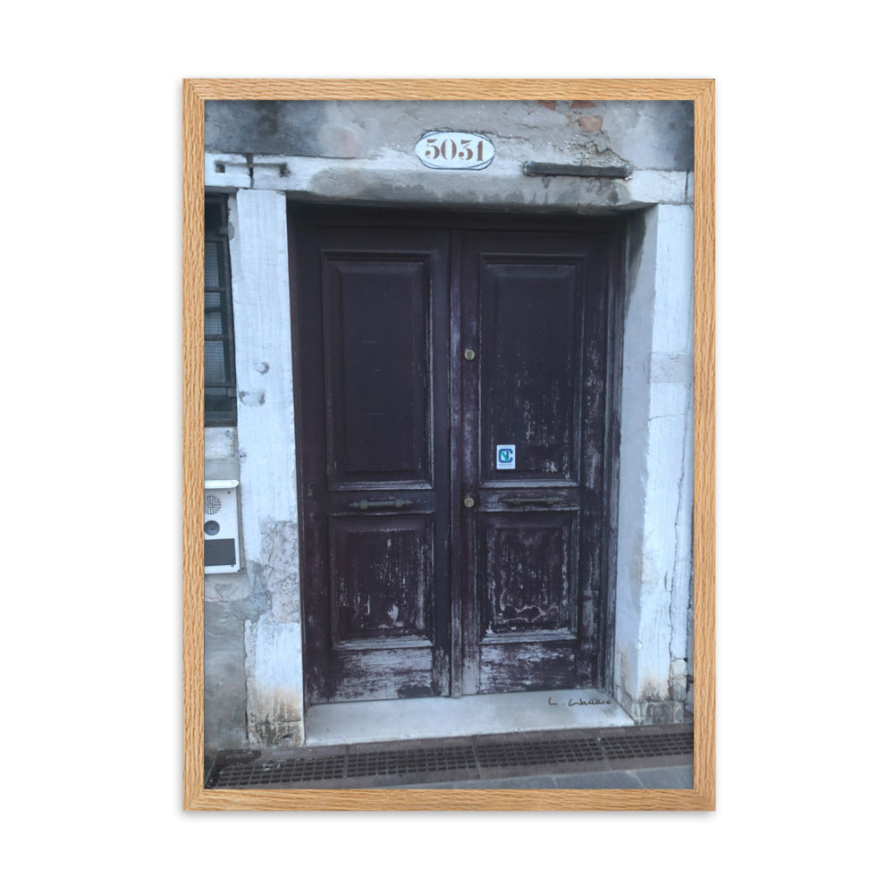 Venice Doors 8 framed matte photo