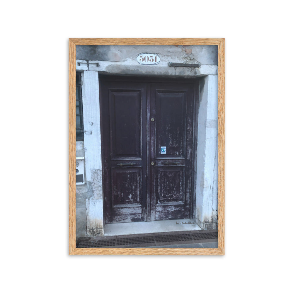 Venice Doors 8 framed matte photo