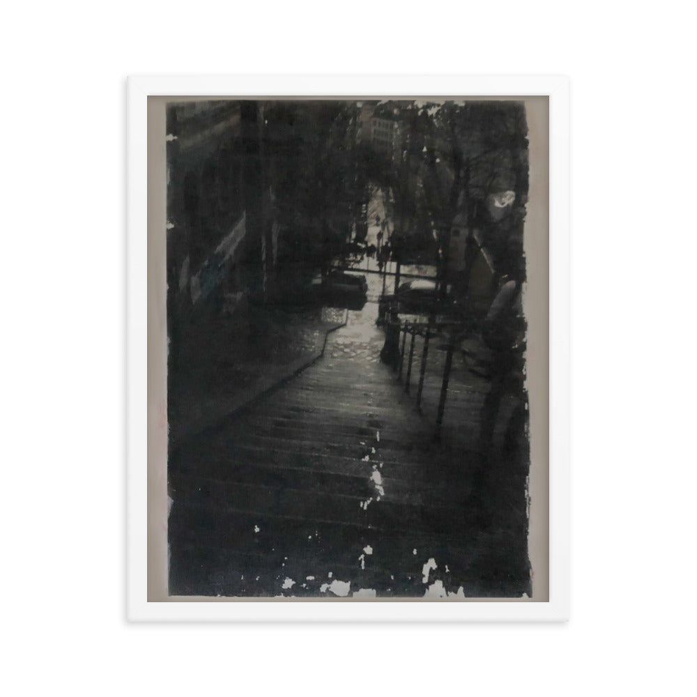 Paris Montmartre Stairs 1 framed photo