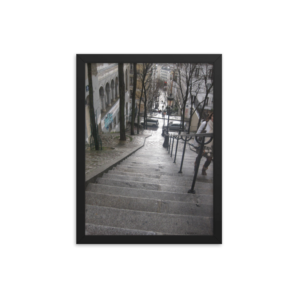 Paris Montmartre Stairs 2 framed photo