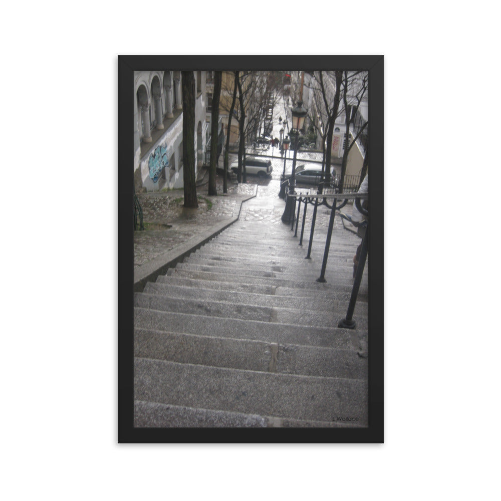 Paris Montmartre Stairs 2 framed photo